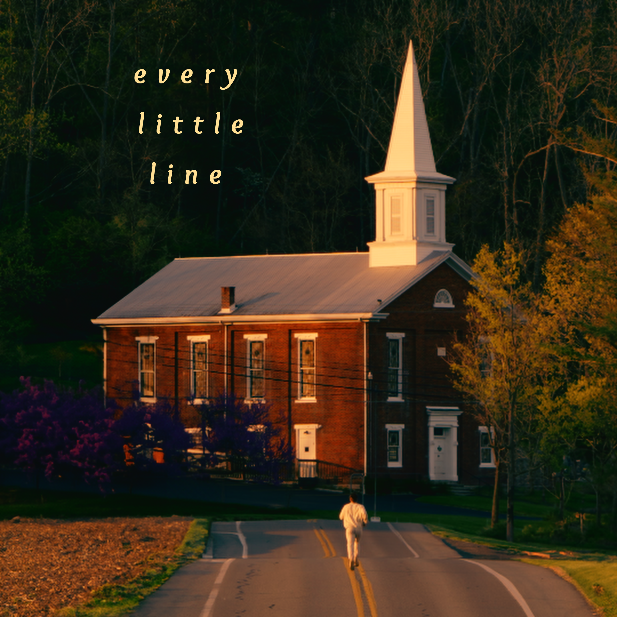 Every Little Line media 1